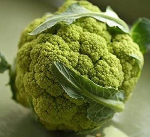 Cauliflower Shannon 